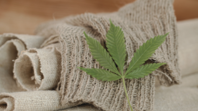 Conclusion of the Industrial Hemp Report