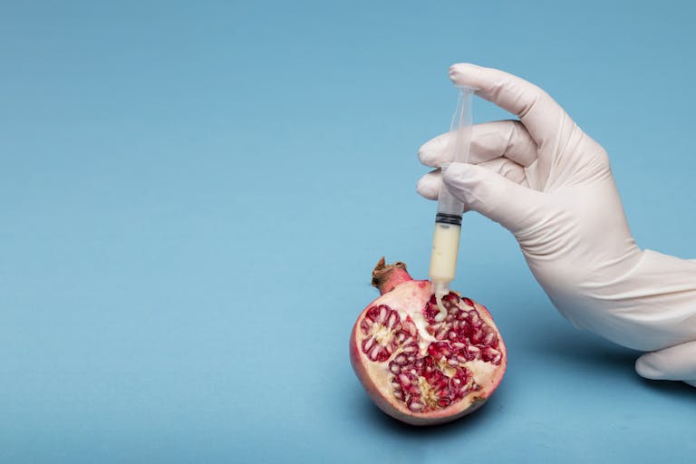 Pomegranate Poured From a Syringe in a Surgical Glove